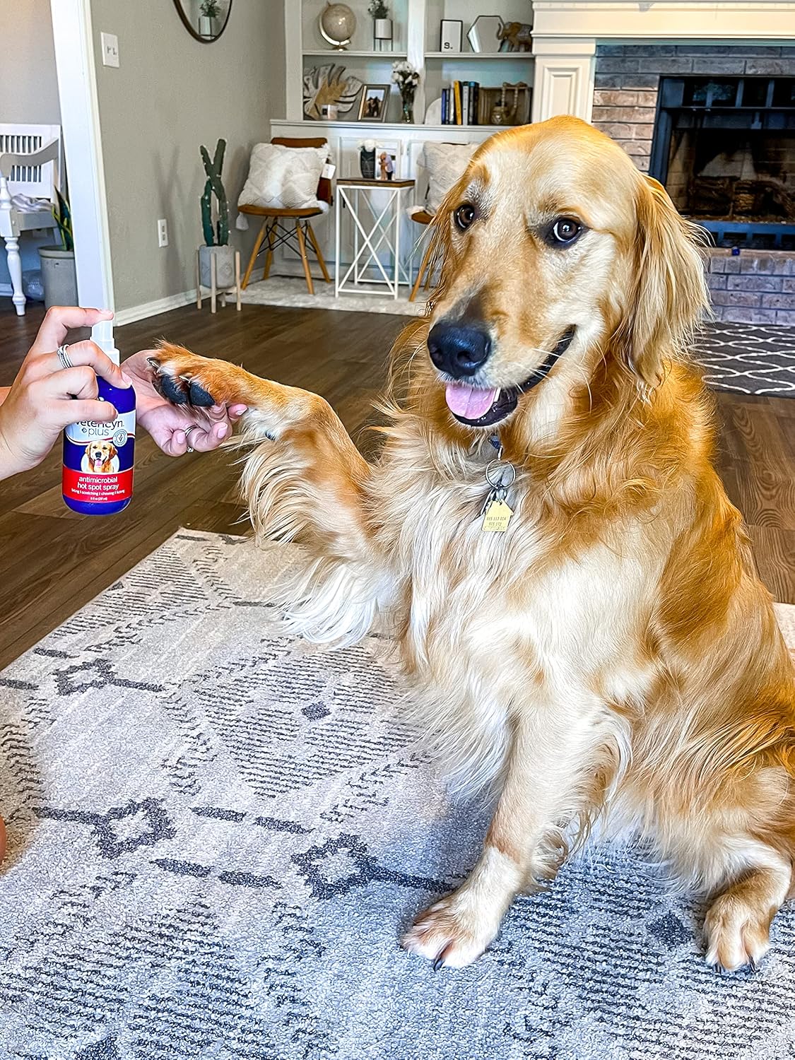 Vetericyn Plus Hot Spot Spray for Dogs Skin Sores and Irritations - Image 2